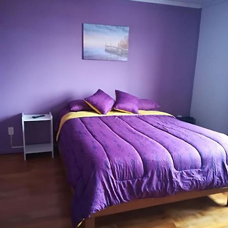 Appartamento Puq Casa Amigos Punta Arenas Esterno foto