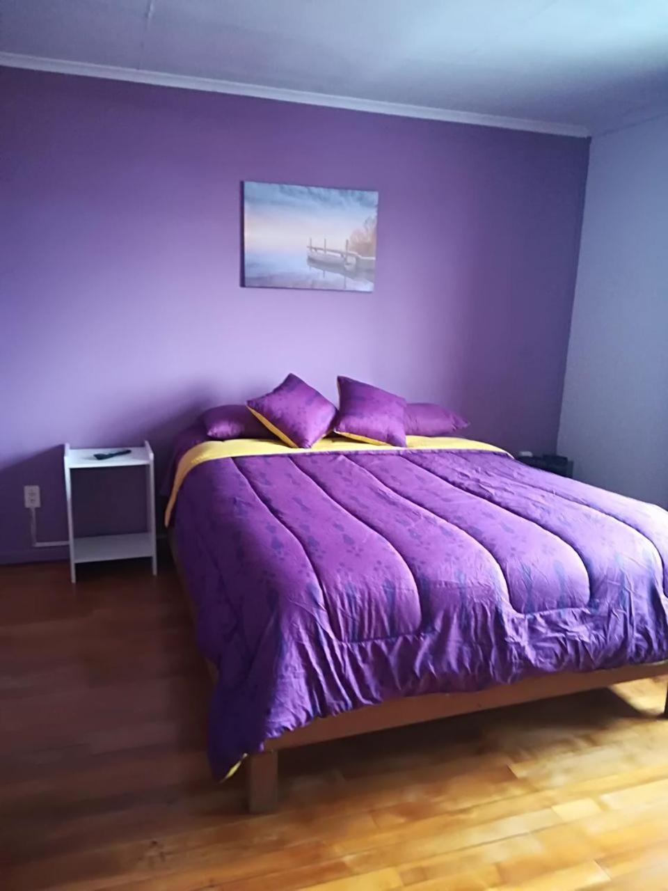 Appartamento Puq Casa Amigos Punta Arenas Esterno foto